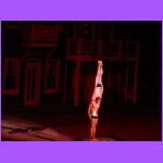 Chinese Golden Dragon Acrobats 4.jpg